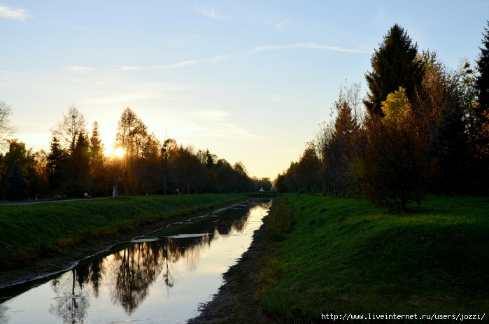 DSC_1071 (700x463, 244Kb)