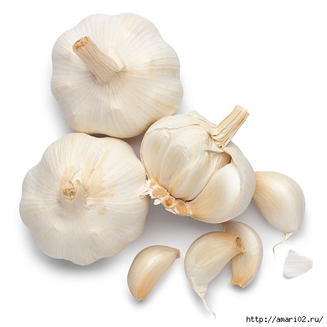 garlic-070108-lg-34656004 (1) (460x460, 70Kb)