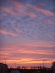  DSC00988 -  (525x700, 215Kb)