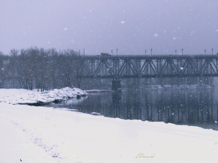 IMG_2724 (700x525, 383Kb)