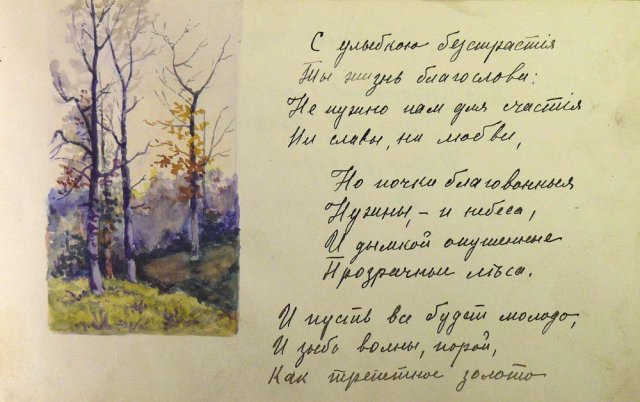 Открытка к дню рождения полевые цветы Открытка к дню рождения полевые цветы