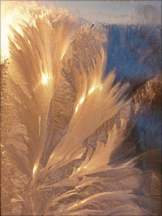 3303834_uzor_6 (525x700, 329Kb)