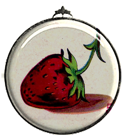 PSFeb13_JSPhotography_Strawberry Pendant (414x452, 284Kb)