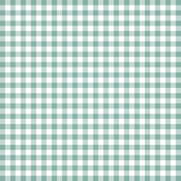 PSFeb13_JSPhotography_Light Blue Gingham Paper (700x700, 120Kb)