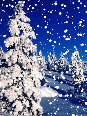 Праздники и знаменательные даты зимы (декабрь, январь, февраль) .