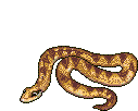 s16 (127x102, 14Kb)