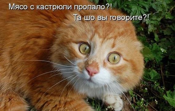 q-I5WxYBDyA (570x361, 49Kb)