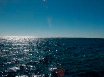 sea-av (2) (150x111, 15Kb)