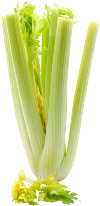 ingredient_celery (340x700, 259Kb)