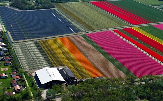 6 (680x424, 83Kb)