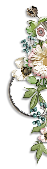 97507475_15.png