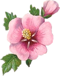 97507485_CAJSCRFR_EMBEL_FLEUR_2.png