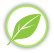 green-leaf (54x53, 4Kb)
