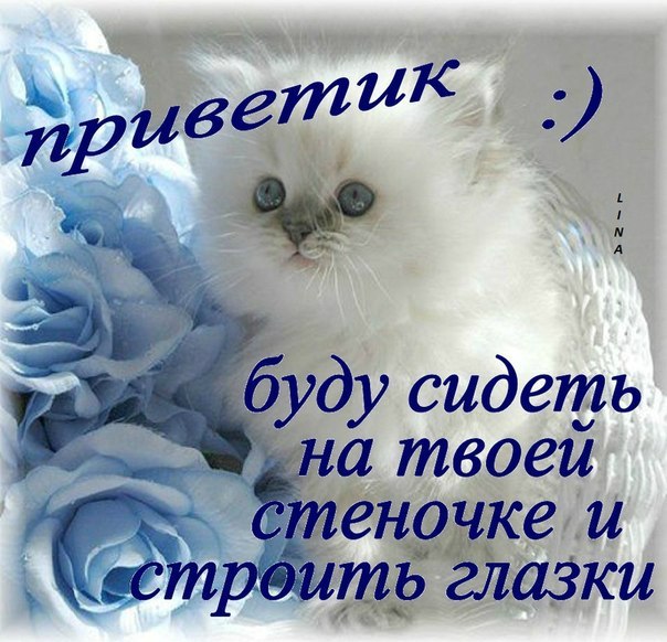 http://img1.liveinternet.ru/images/attach/c/7/97/531/97531065_QQORAdcyCRM.jpg