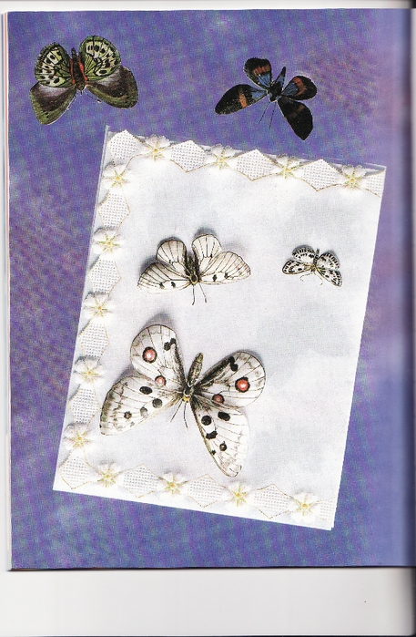 pergamano vlinders_0027 (457x700, 277Kb)