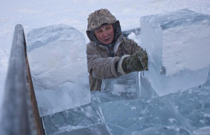 Жизнь на полюсе холода