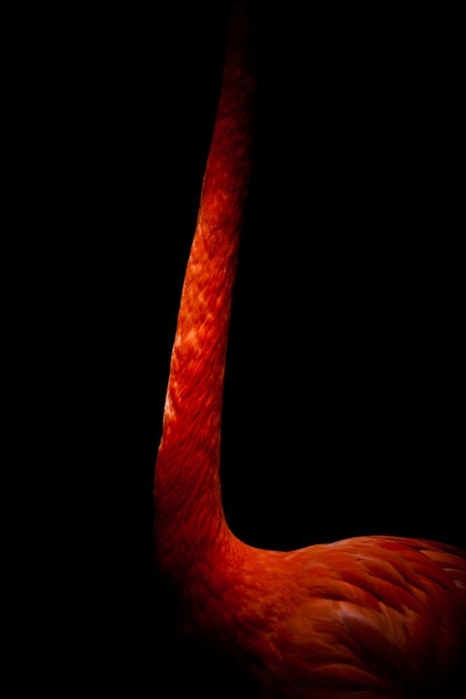 2 (466x700, 54Kb)