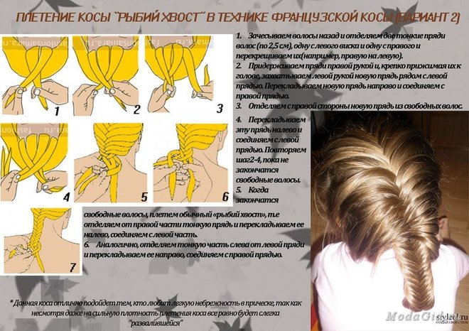 Учебное пособие: Анатомия и физиология человека Уголовно-процессуальный кодекс