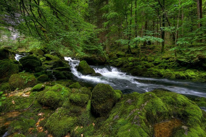 Водопад La Tine de Conflens, Швейцария 75656