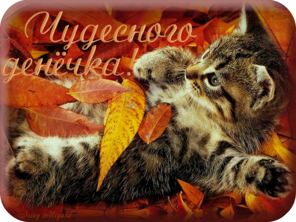 92062549_7CHudesnogo_denyochka (600x450, 776Kb)