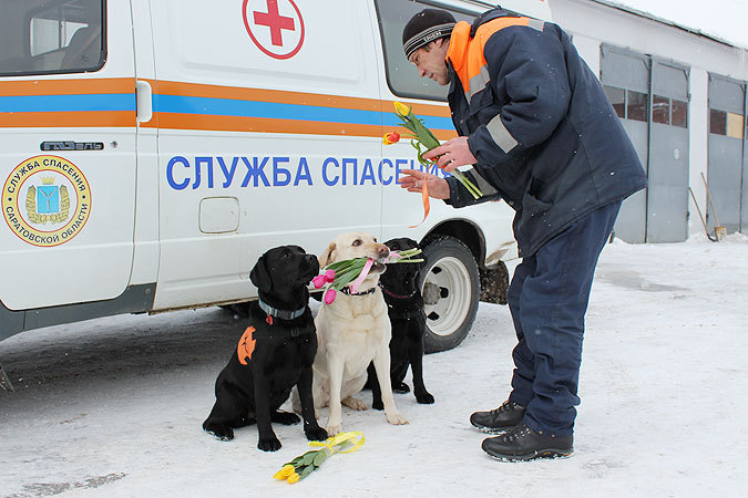 В Саратове собак-спасателей поздравили с 8 Марта