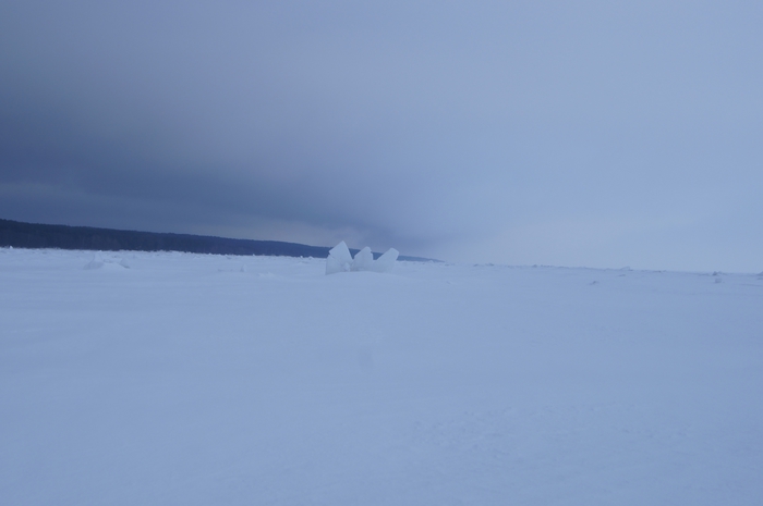 4213829__DSC3090 (700x465, 89Kb)