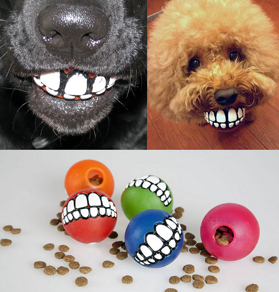 3925073_SmilingDogBall_07 (573x600, 369Kb)