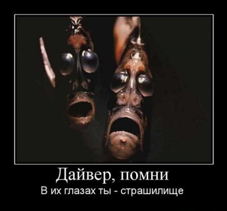 http://img1.liveinternet.ru/images/attach/c/7/98/619/98619291_8.jpg