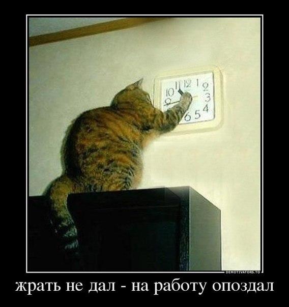 http://img1.liveinternet.ru/images/attach/c/7/98/619/98619299_15.jpg