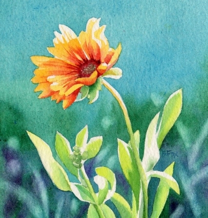 blanket_flower_1_a91fc737552e21b61f804fd53859c27d (406x425, 153Kb)