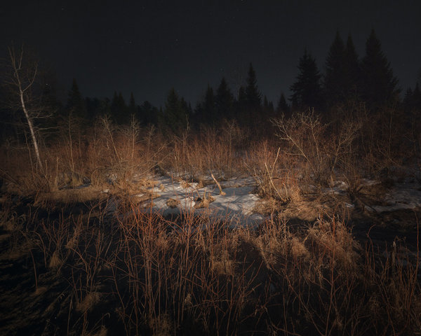 2 (600x480, 67Kb)