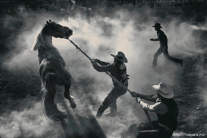 smithsonian-photo-contest-americana-rodeo-cowboys-george-burgin (680x453, 178Kb)