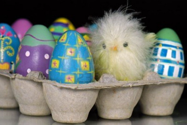 4660451-easter-chick-with-eggs-in-generic-egg-carton (600x402, 68Kb)