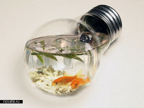 aquarium (470x353, 33Kb)