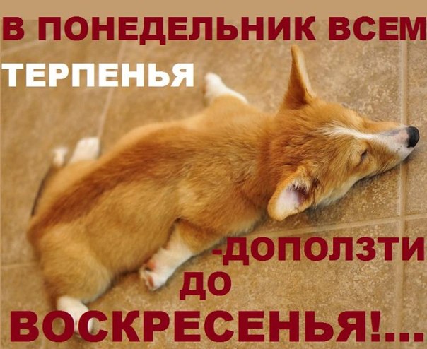 http://img1.liveinternet.ru/images/attach/c/7/98/92/98092071_jHvMRqNM6hM.jpg