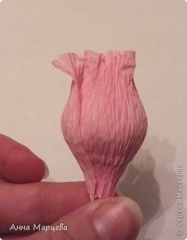 розы из гофробумаги и конфет (19) (374x480, 20Kb)