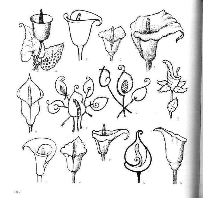74049078_large_4000_motifs_de_fleurs_et_de_plantes__170_ (700x683, 76Kb)