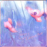 4360286_99px_ru_avatar_136398_rozovij_mak_flowers__cveti (150x150, 115Kb)