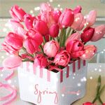4360286_99px_ru_avatar_141029_krasnie_tulpani_v_beloj_korobochke_spring_time_ (150x150, 162Kb)