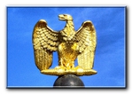  myparis napoleol eagle aigle adieu garde imperiale (700x498, 297Kb)