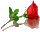 b53c447e0a7b153de9257d96cf928de3 (40x32, 1Kb)