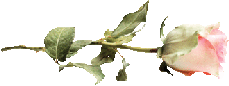 441-1 (229x86, 7Kb)