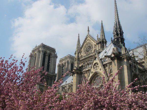 Notre-Dame-in-spring-Paris-600x450 (600x450, 69Kb)