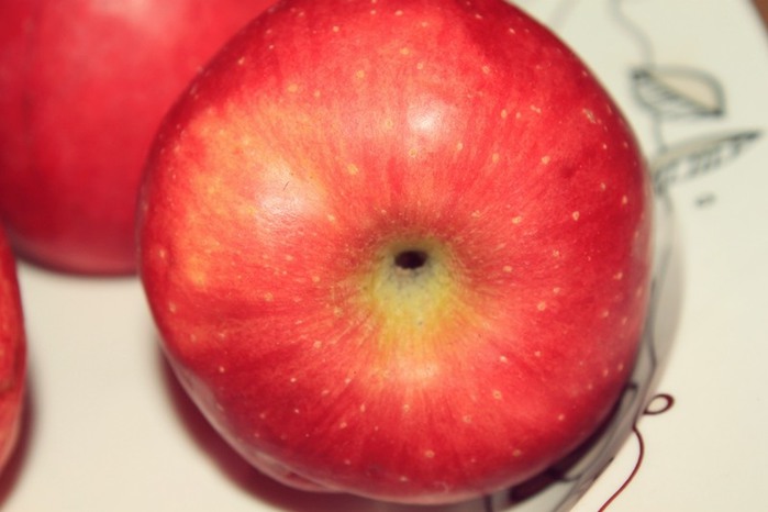 творожно-яблочный пирог (4) (700x466, 55Kb)