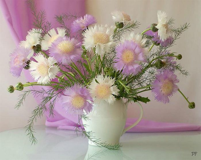 Нежнее нежного flowers-and-vases-30 (700x558, 66Kb)