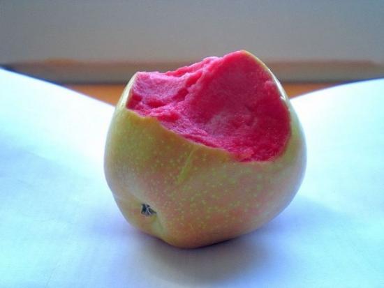 розовые яблоки фото 1 (550x413, 18Kb)