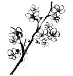  cherry-blossom-ink-vector-175 (380x400, 74Kb)
