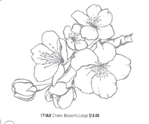  cherry-blossom-pg-55 (262x218, 34Kb)