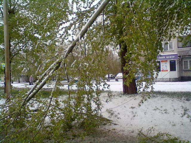 снег в Барнауле (1) (640x480, 116Kb)
