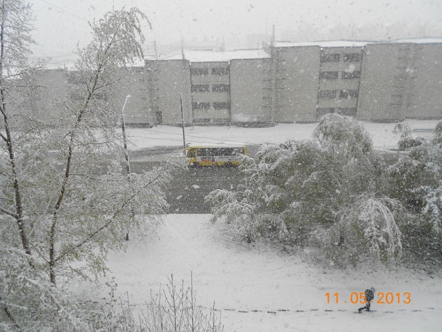 снег в Барнауле (2) (640x480, 71Kb)